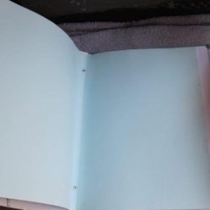 Carpeta con clasificador