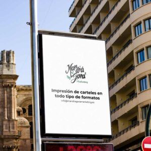 Carteles a2
